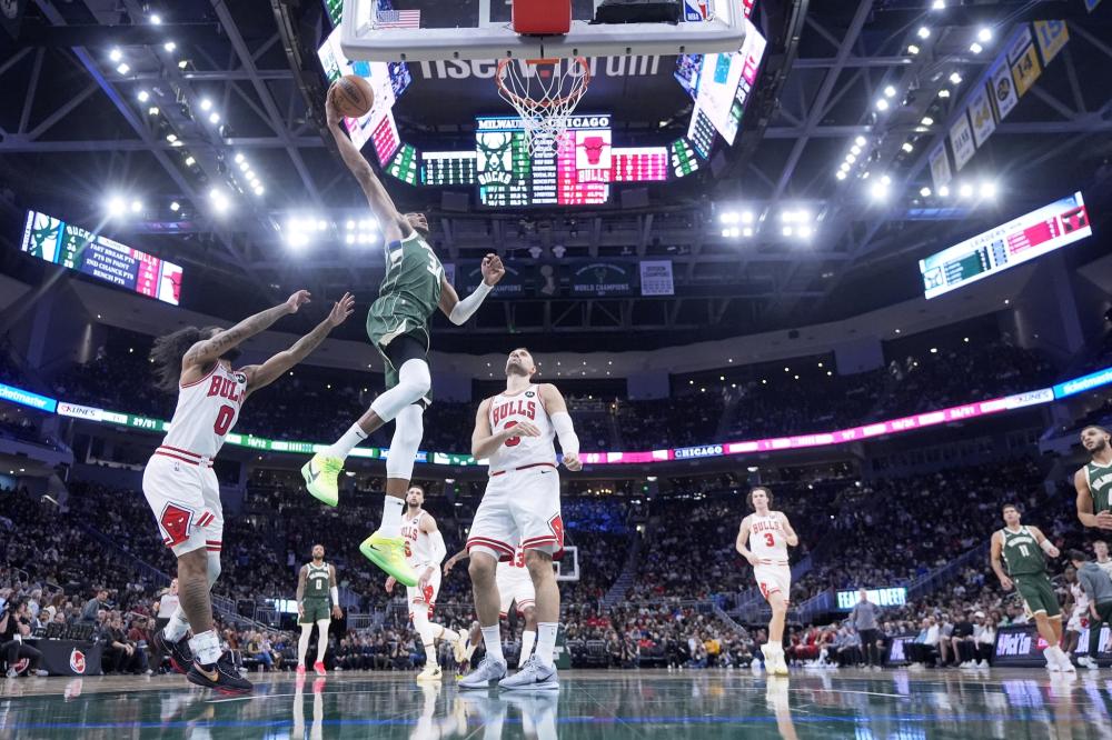 仅折射出教 仅折射出教